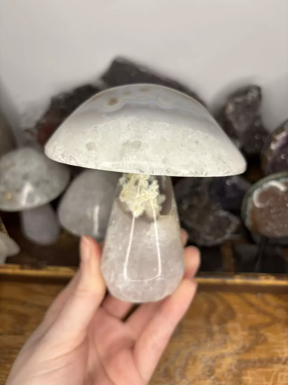 Agate Mushroom Hand Carved from Brazil 78 thumbnail