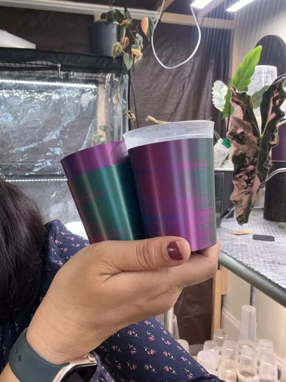 4 self watering tricolor thumbnail