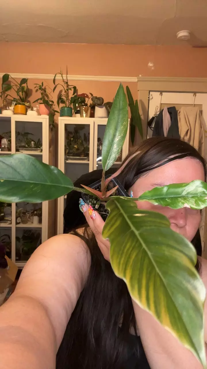 low var caramel marble thumbnail