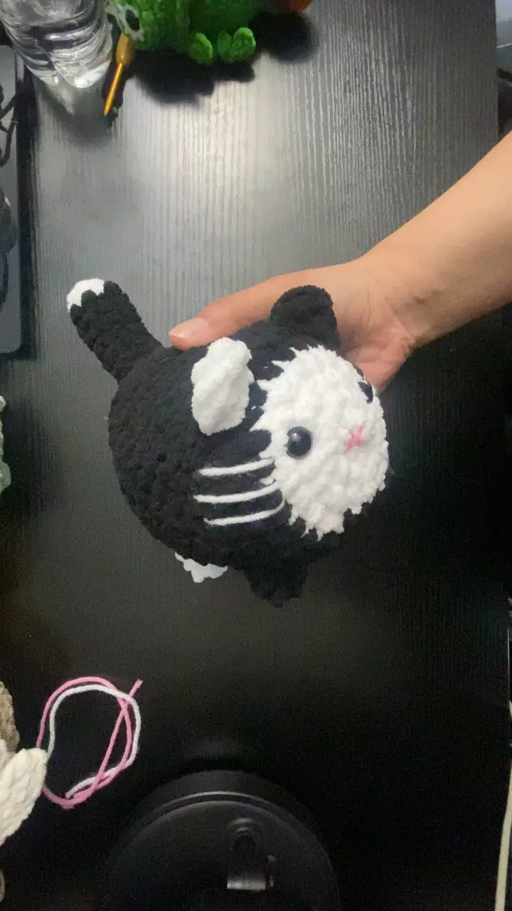 Black & White Cat thumbnail
