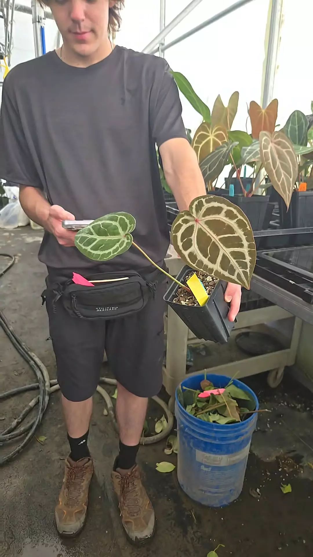 f09 SKG grey x dock  bloc purp f2 thumbnail