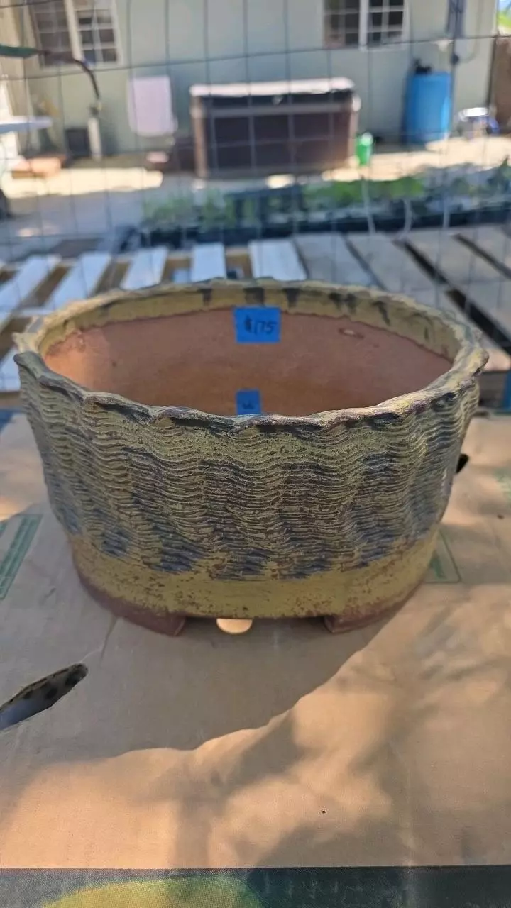 June's Pot #66 9.5" oval thumbnail