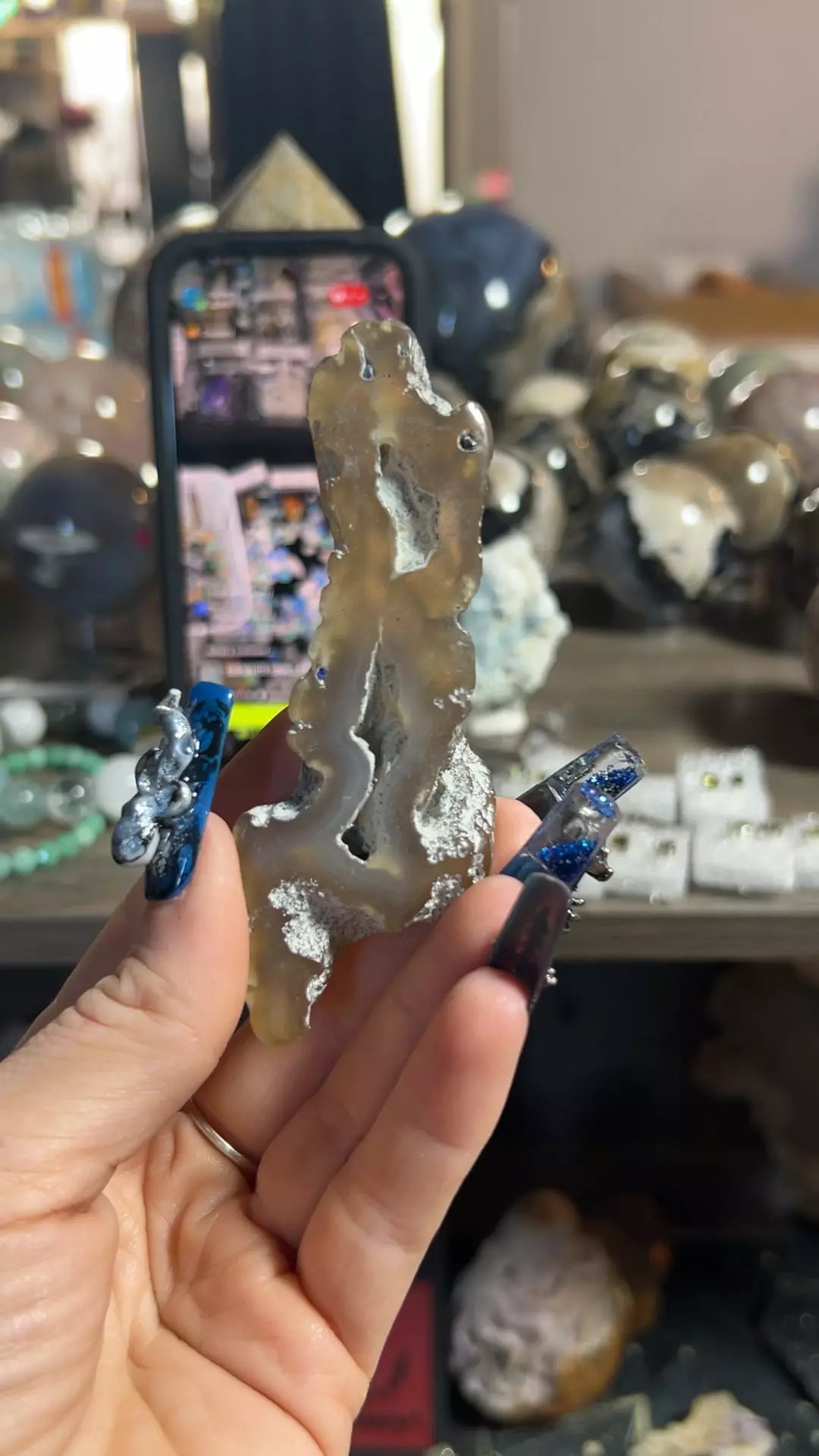 Agatized Coral from Withlacoochee River, Georgia thumbnail