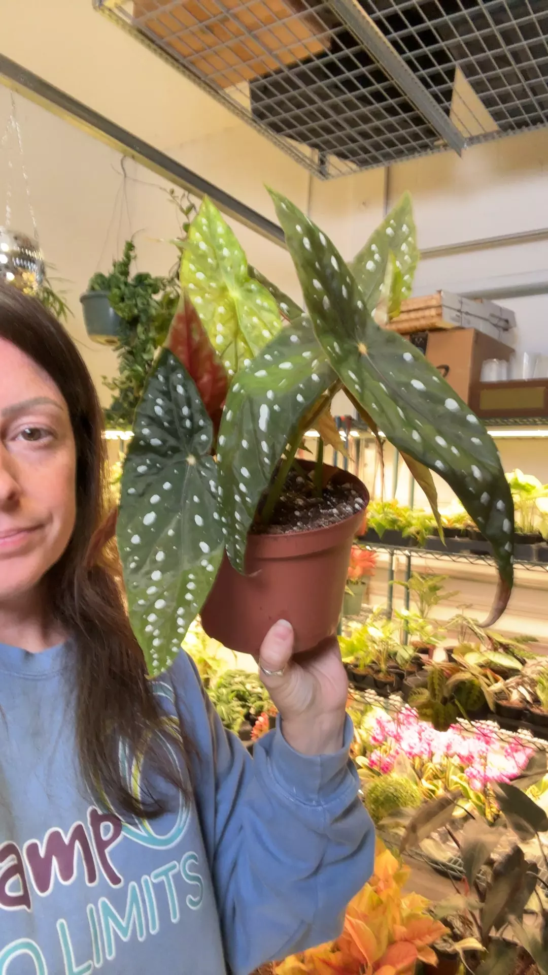 Harmory’s Eric Seel 6” pot thumbnail