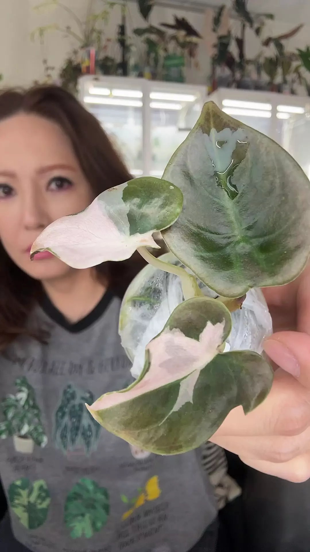 #2022 CUPREA RED SECRET SUPER PINK thumbnail