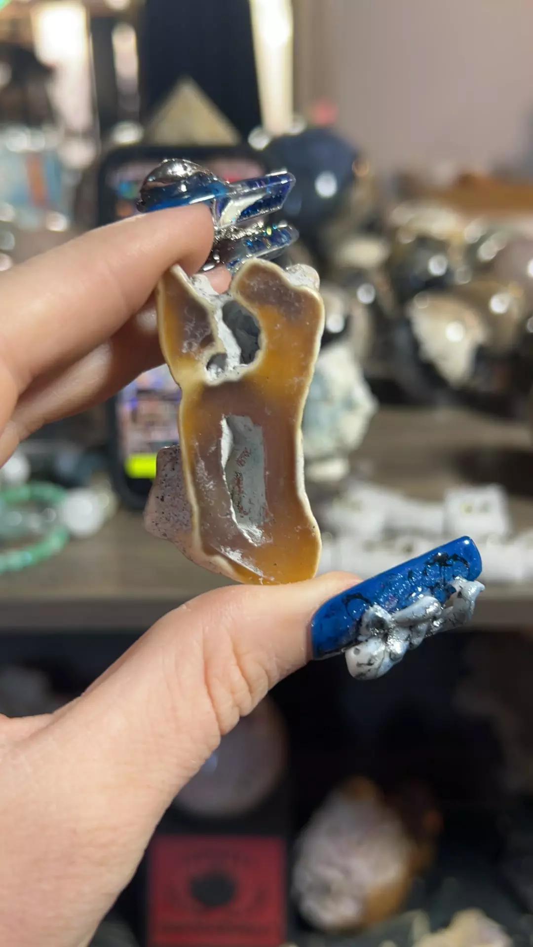 Agatized Coral from Withlacoochee River, Georgia thumbnail