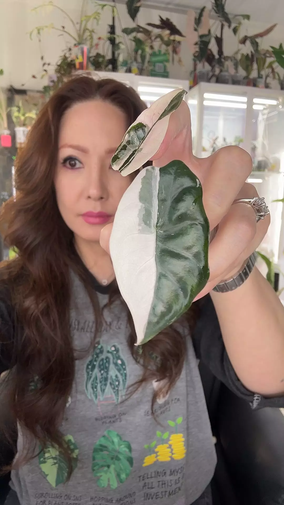 #2353 PINK CHANTRIERI thumbnail