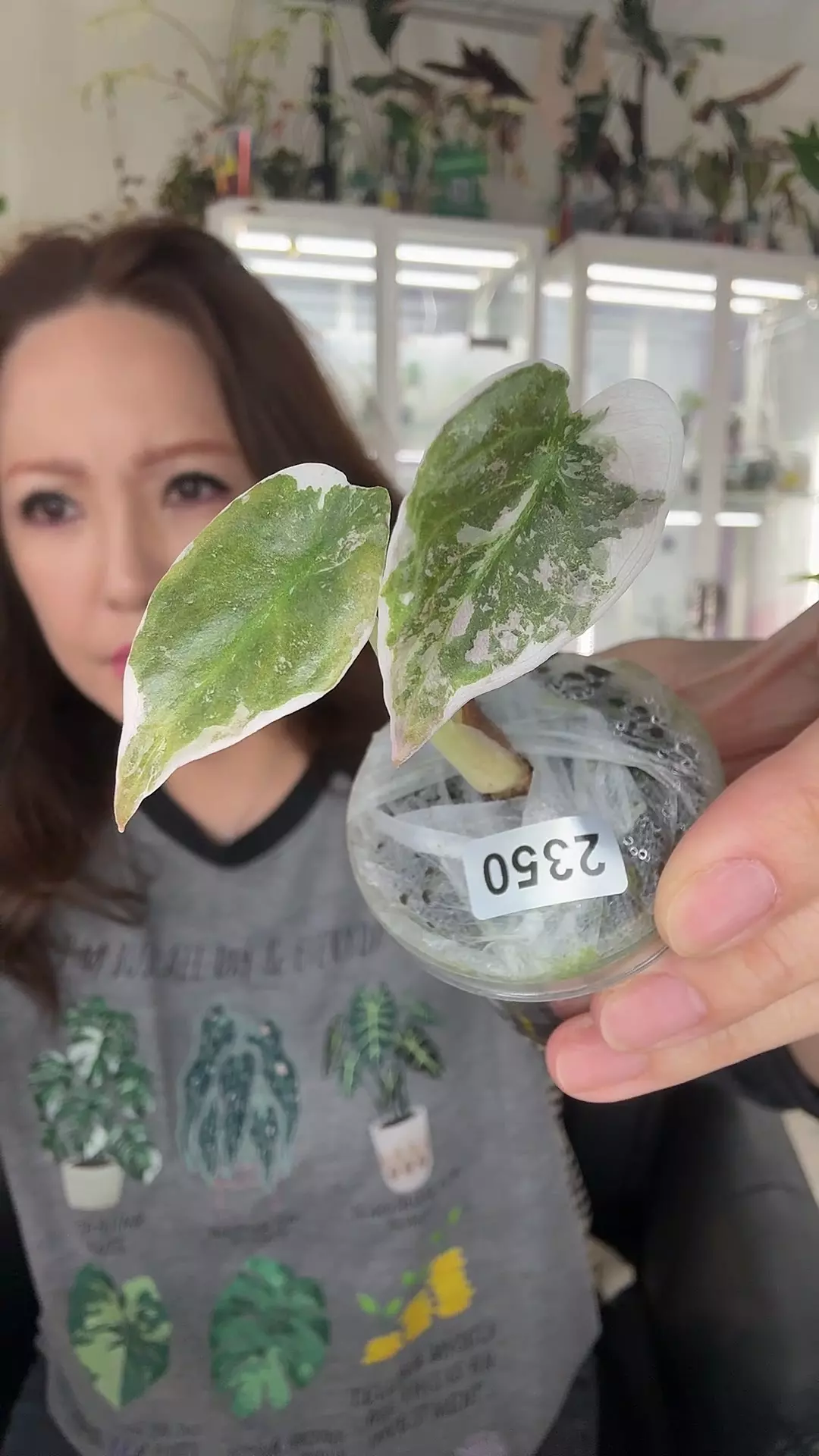 #2350 CUPREA RED SECRET SUPER PINK thumbnail