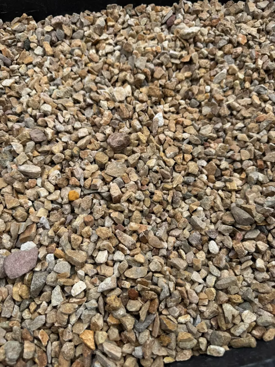 Coronado brown 3/8th thumbnail