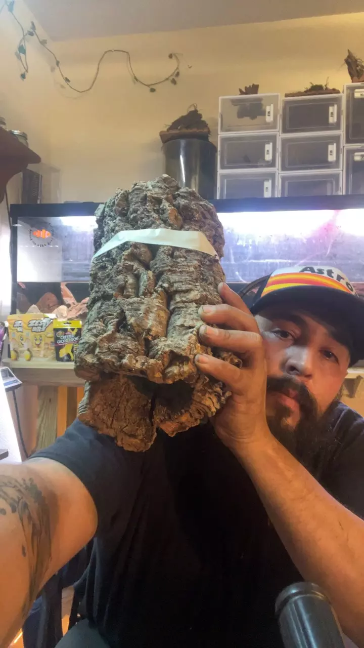 13”x3 1/2” thumbnail