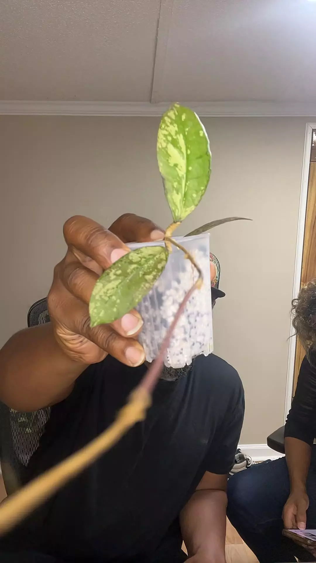 gunang gading ghost thumbnail