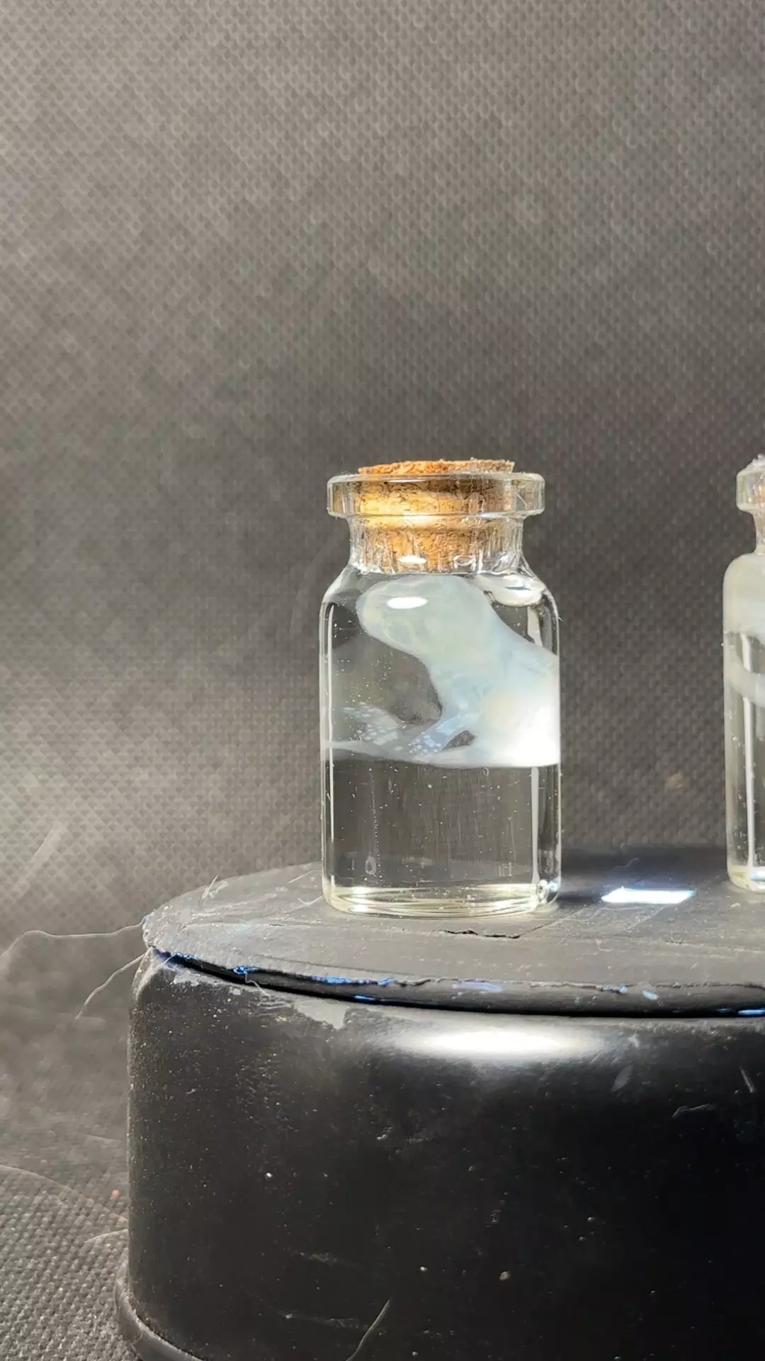 ethically sourced xtra small Diaphonized pinky mouse ghost thumbnail