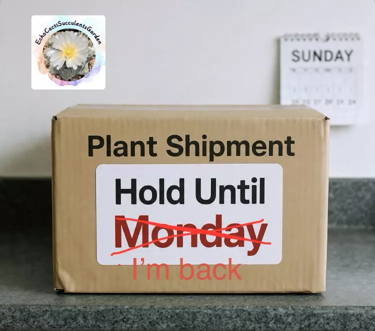 Hold my order until I’m back thumbnail