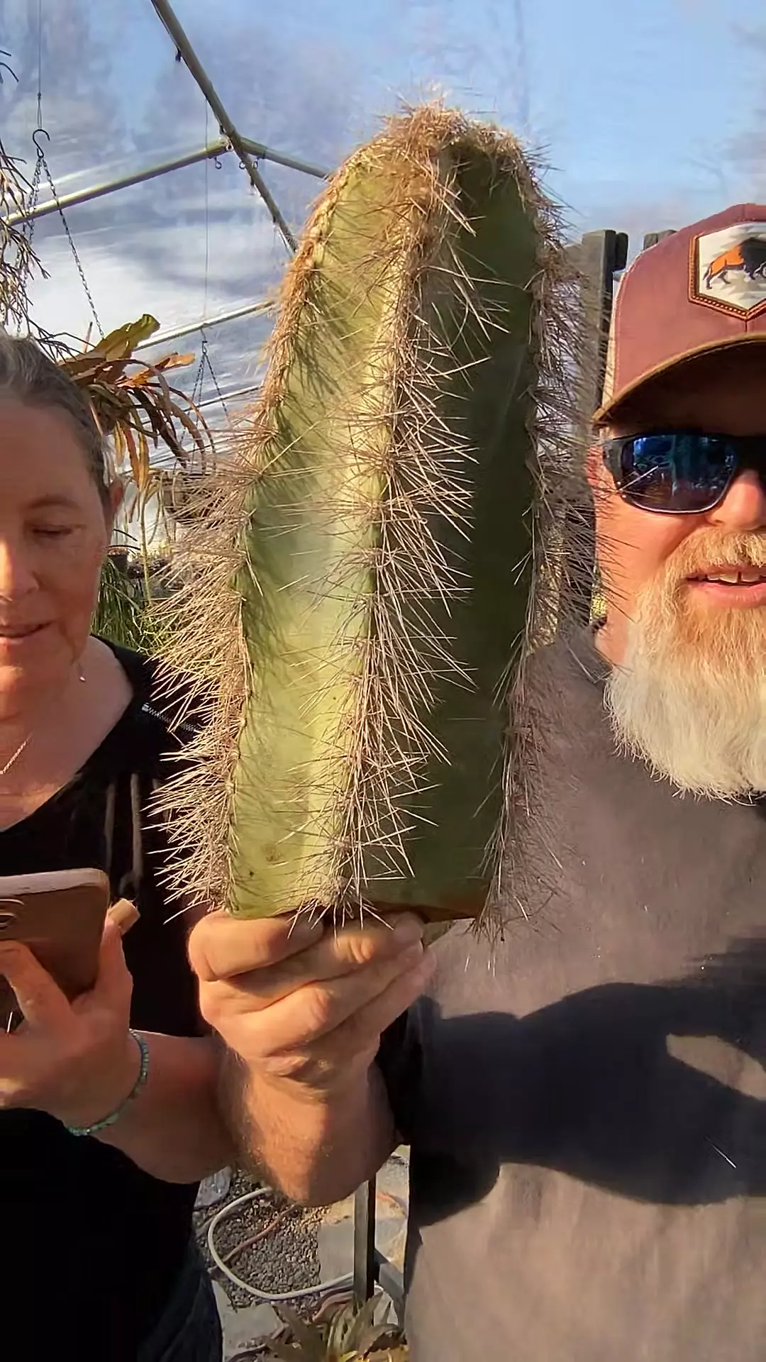 Shannon’s Order thumbnail