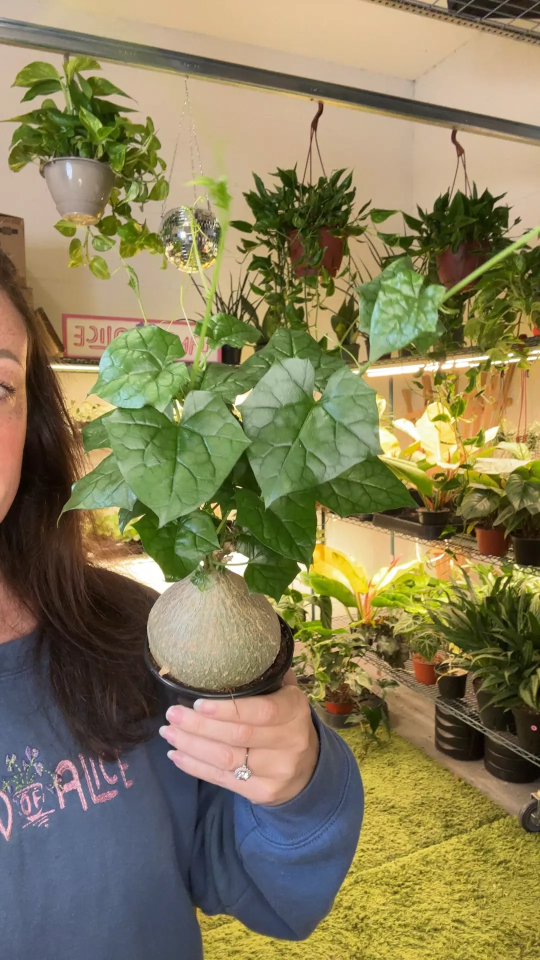 bigfoot 4” pot thumbnail