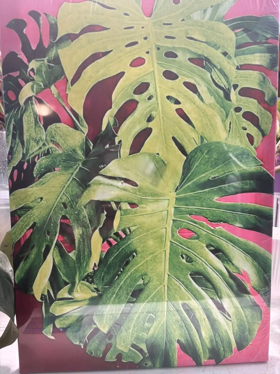 8x12 canvas MONSTERA thumbnail