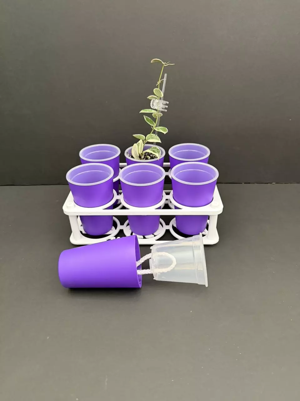 2.5” self watering cups (6 cups)with cup holder included thumbnail