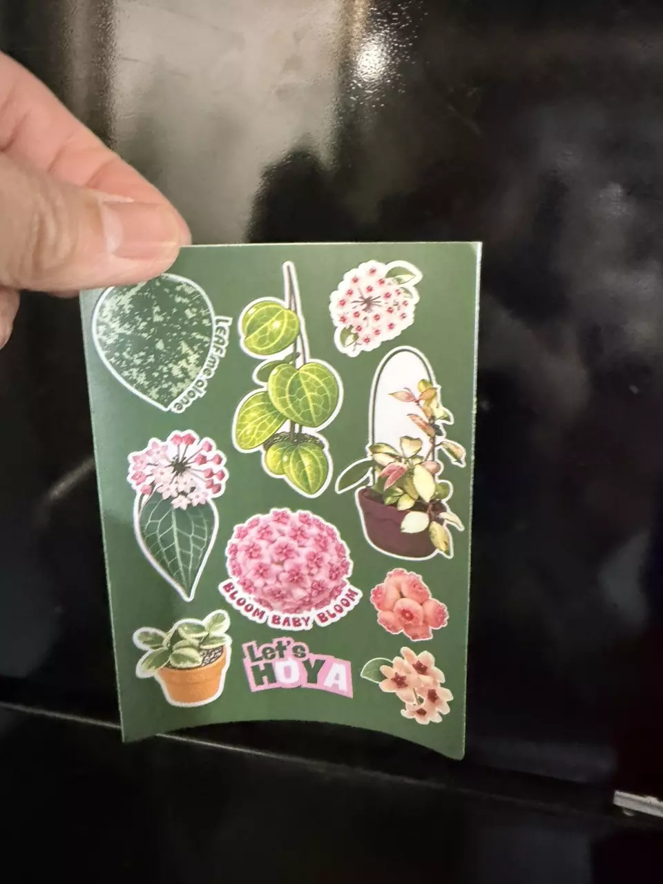 plant stickers thumbnail