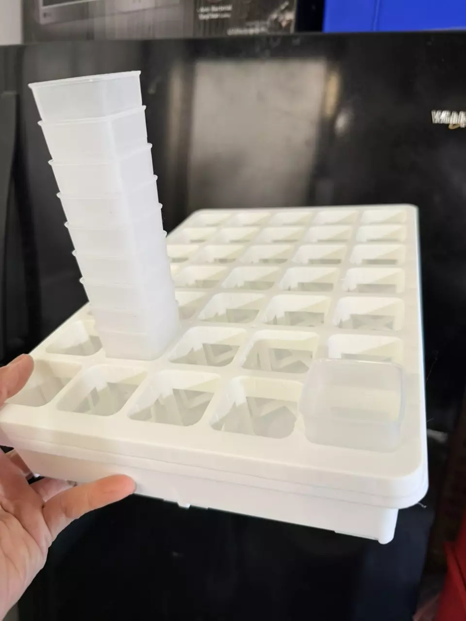 13.5 x9” tray for 1.5” square pots tray set pots included thumbnail