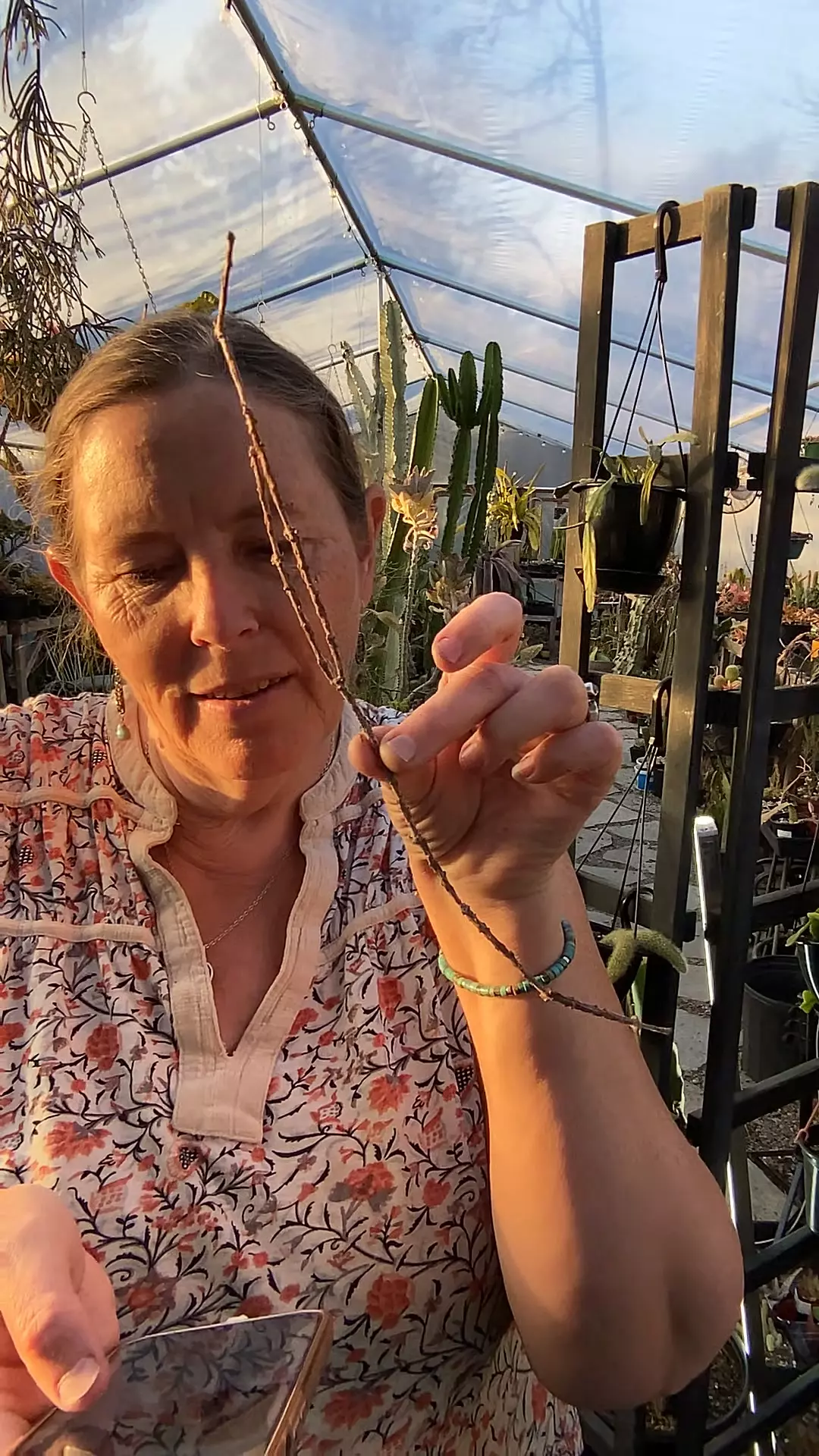 Bundle of sticks cutting thumbnail