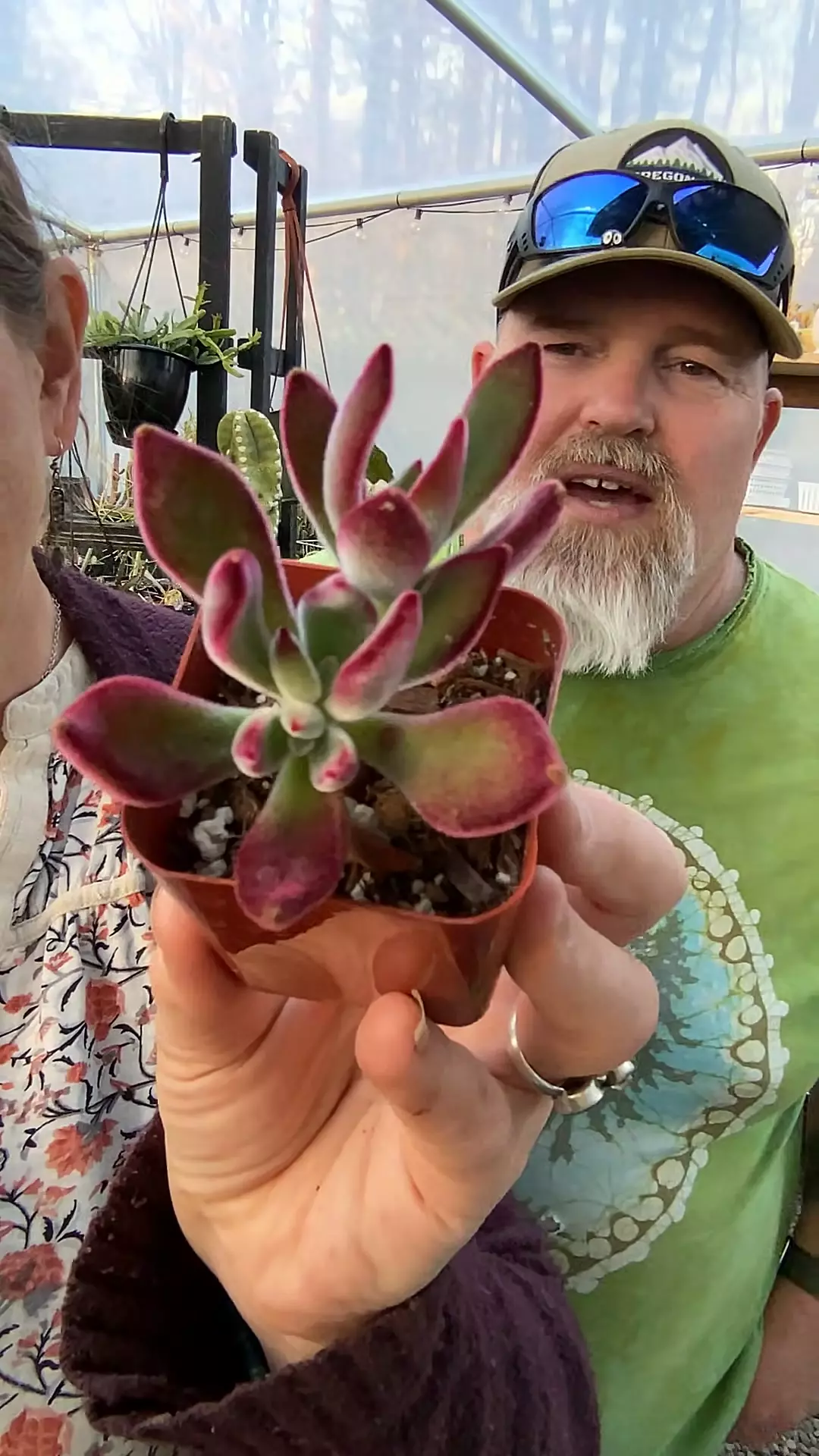 Echeveria Ruby Slippers 2” thumbnail