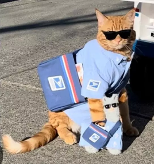 Priority shipping upgrade thumbnail