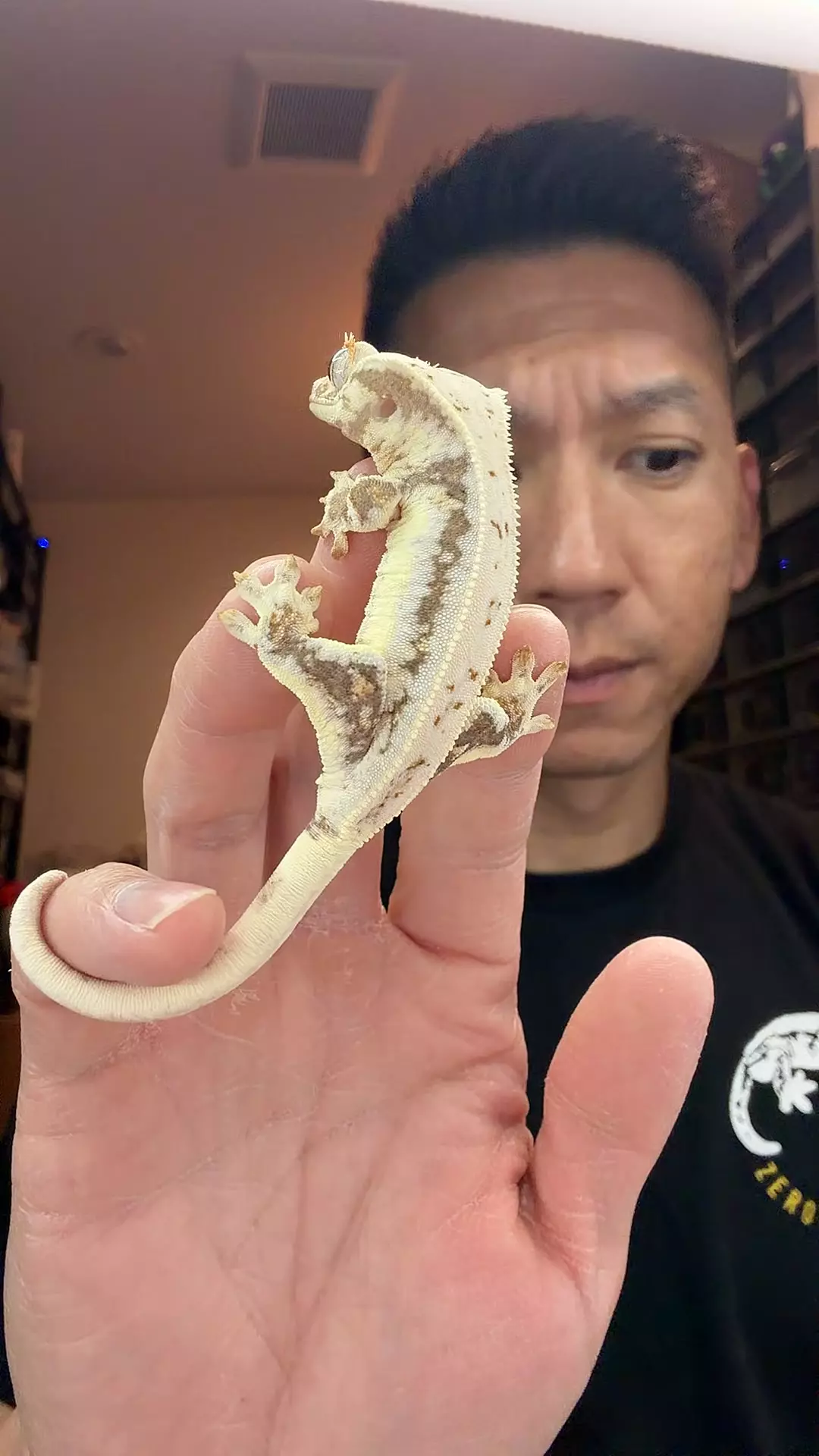 10g no pores Helios x Harley thumbnail