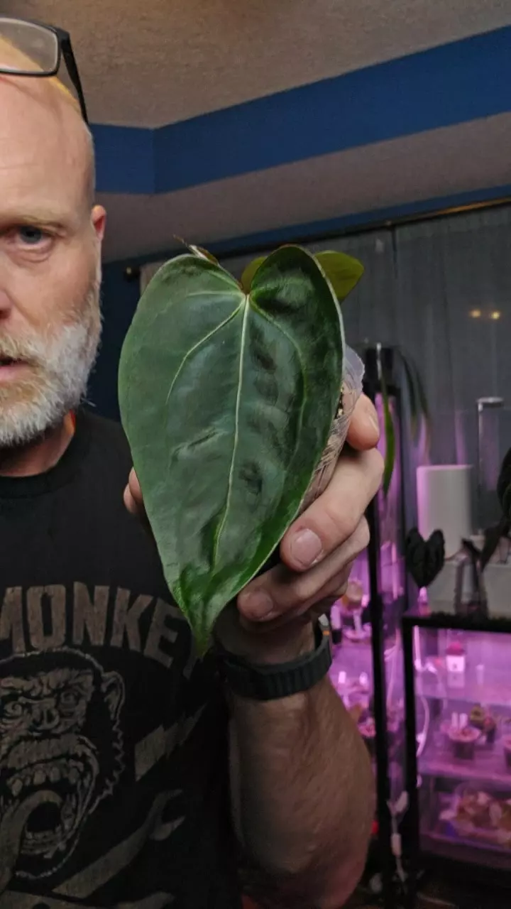 DOC Block F2 xSKG Silver thumbnail