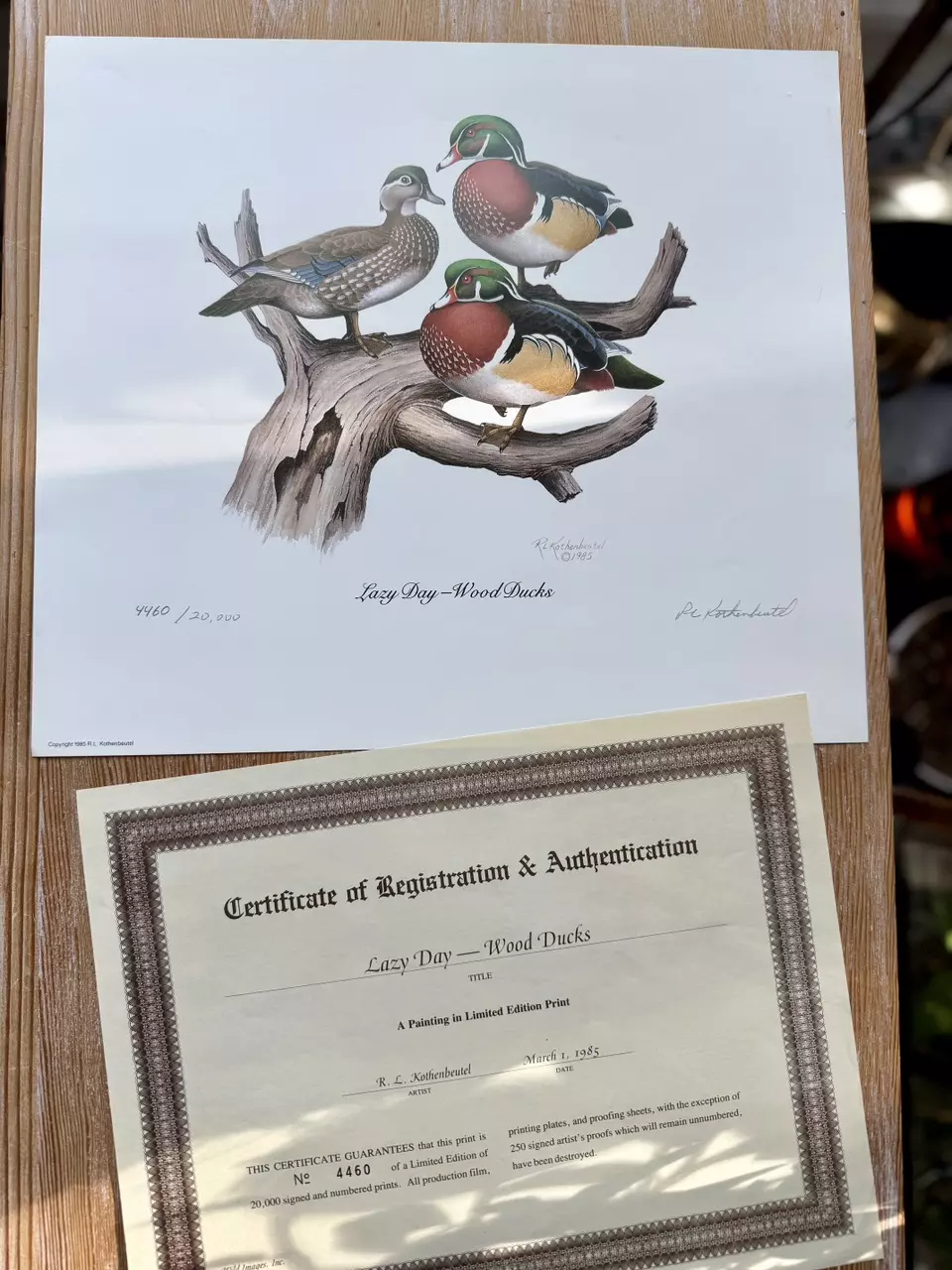 Litho reprint “Lazy Day Wood Ducks” thumbnail