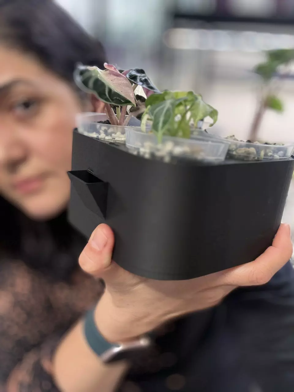 self watering system 3” thumbnail