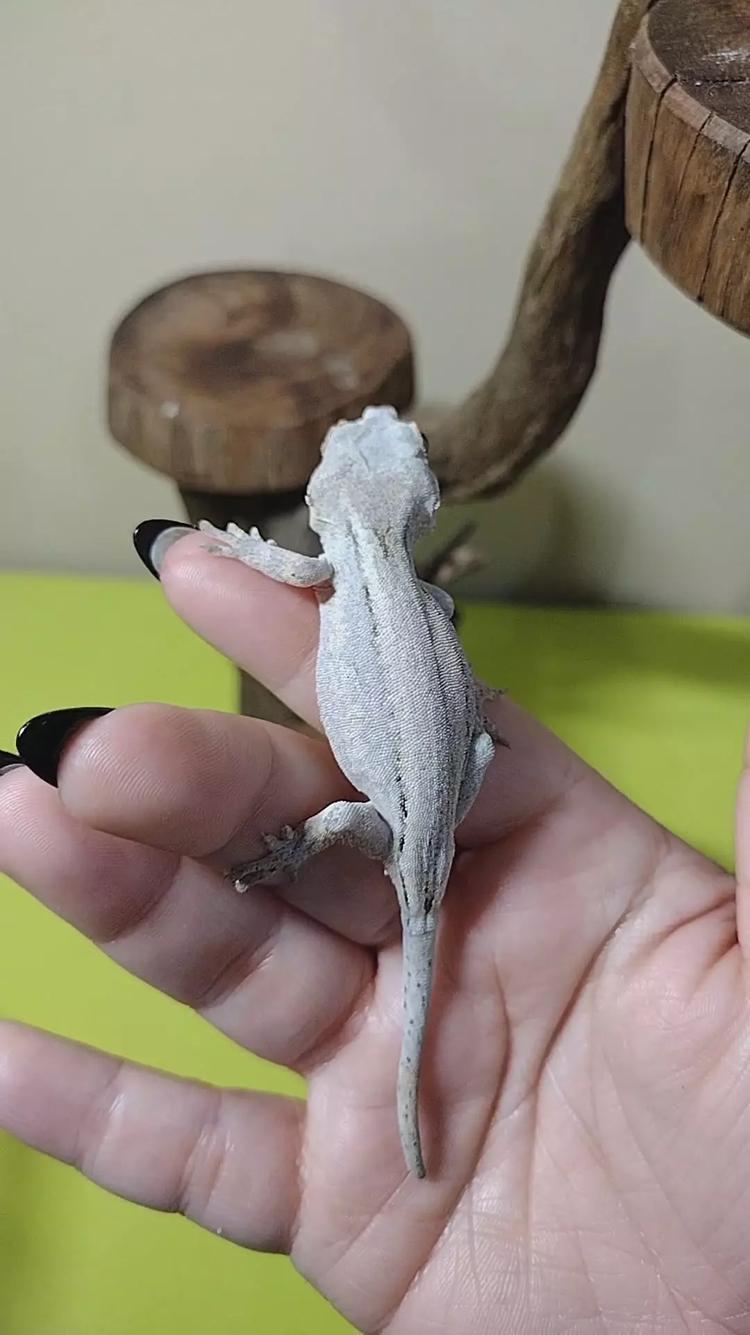 C28 poss pink base poss phantom eye M 8.9g thumbnail
