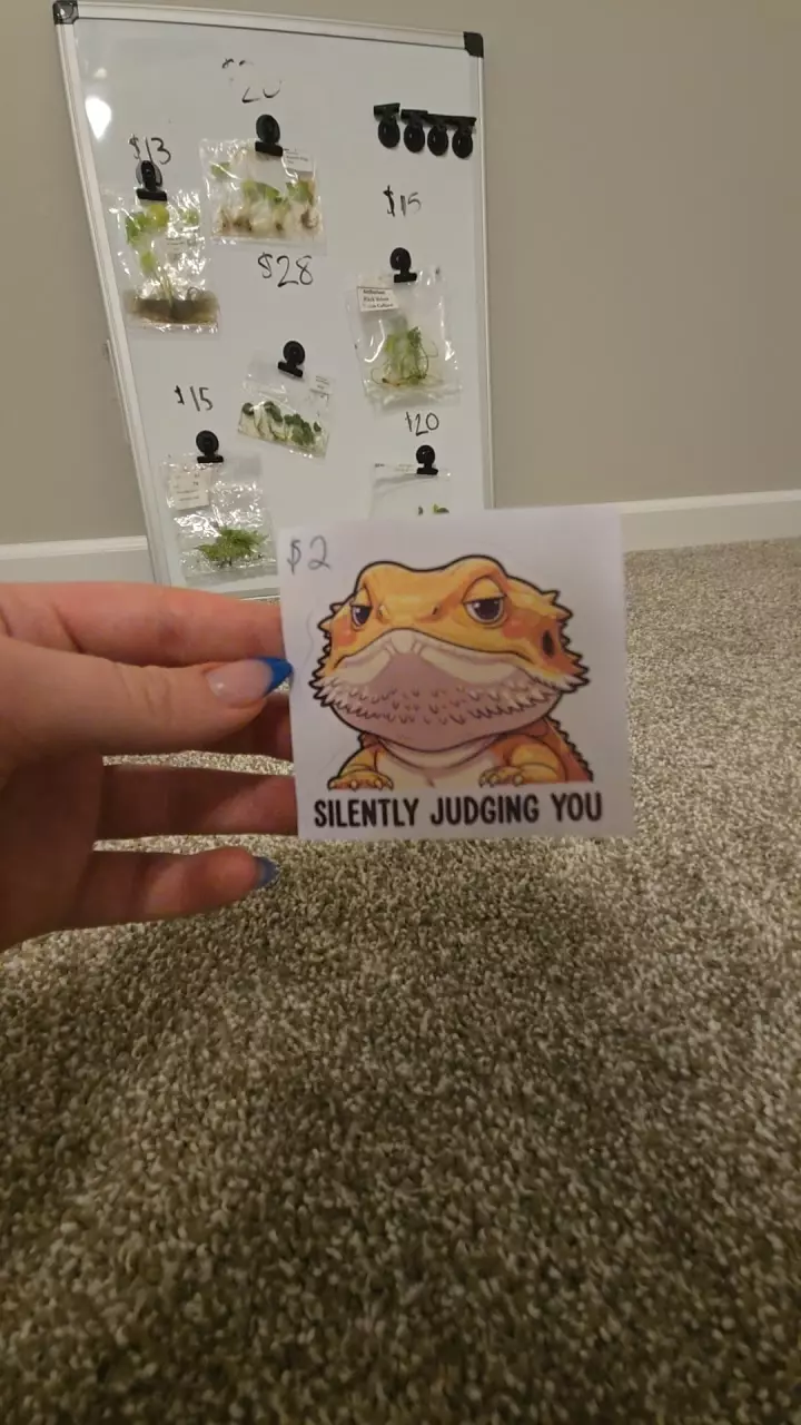 Lizard Sticker thumbnail