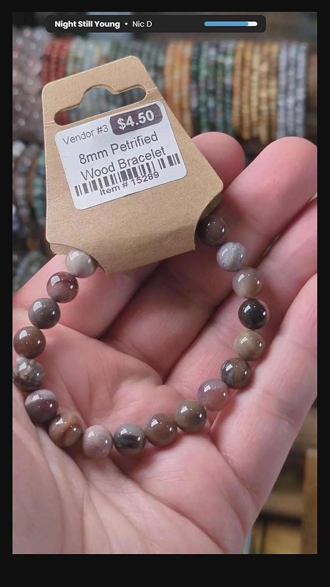 #15289 8mm Petrified Wood Stretch Bracelet thumbnail