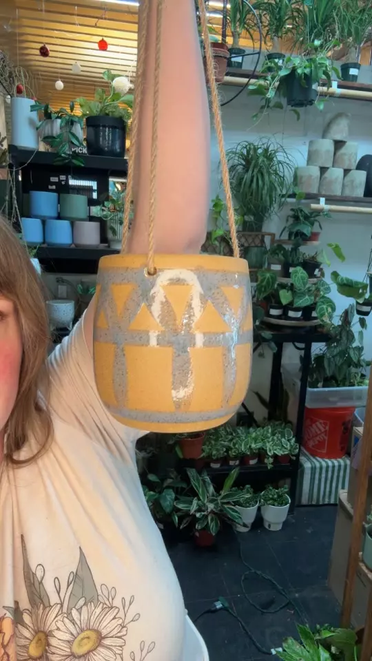 canyon hanging planter 4” thumbnail