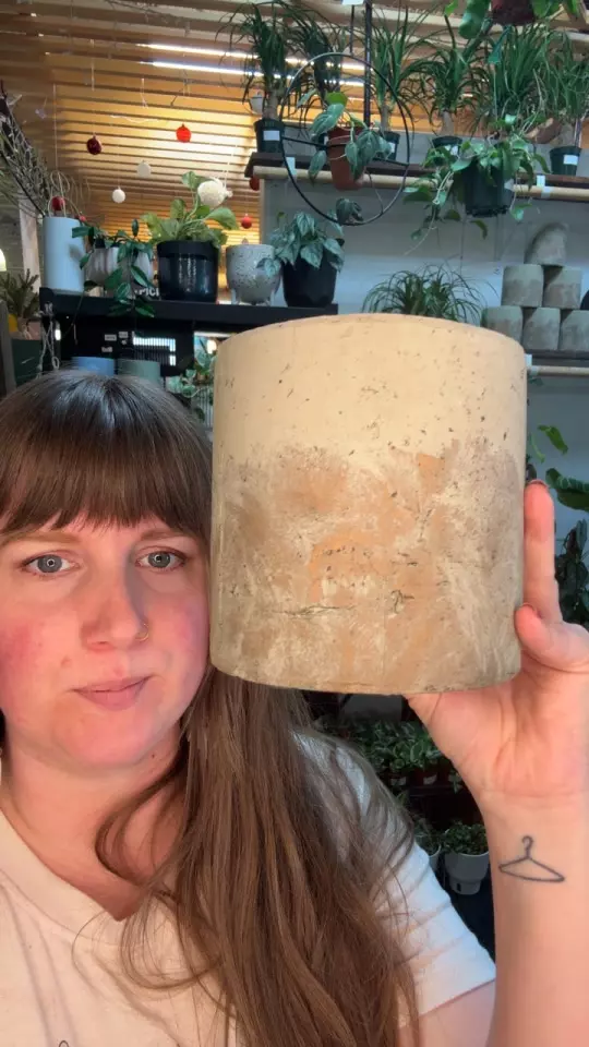 cement gold planter 5” thumbnail
