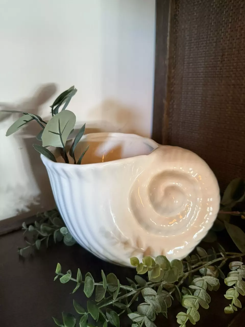 White Conch Shell planter thumbnail
