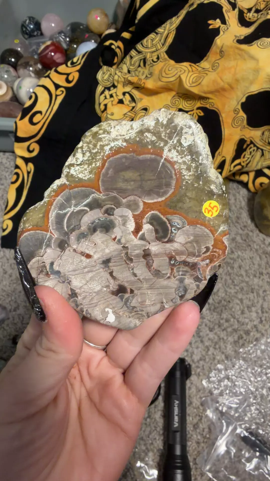 Mushroom Rhyolite Slab from Arizona thumbnail
