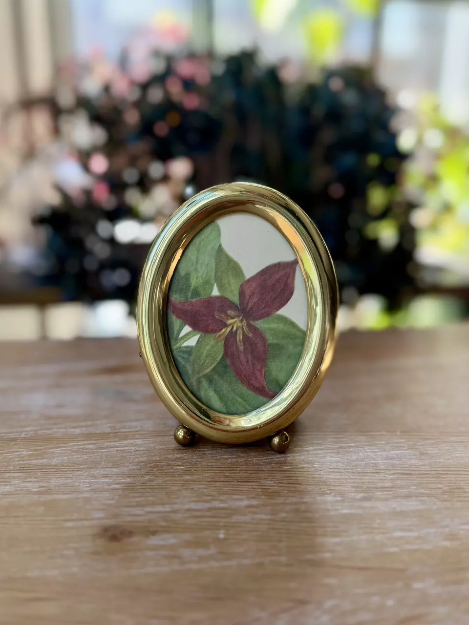 Lacquer brass oval frame thumbnail