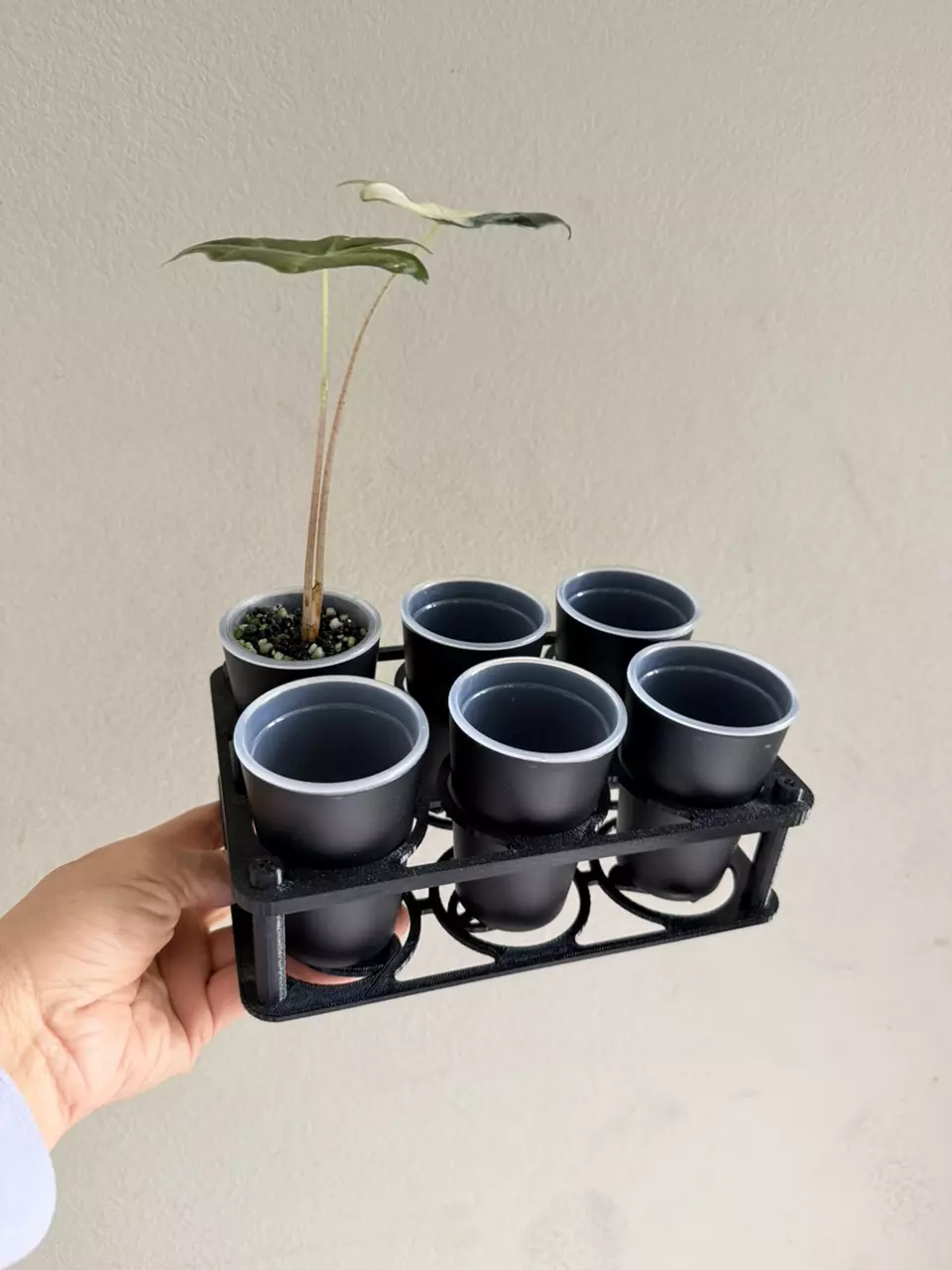 Black cup holder and 2.5” self watering pots set of 6 pots thumbnail