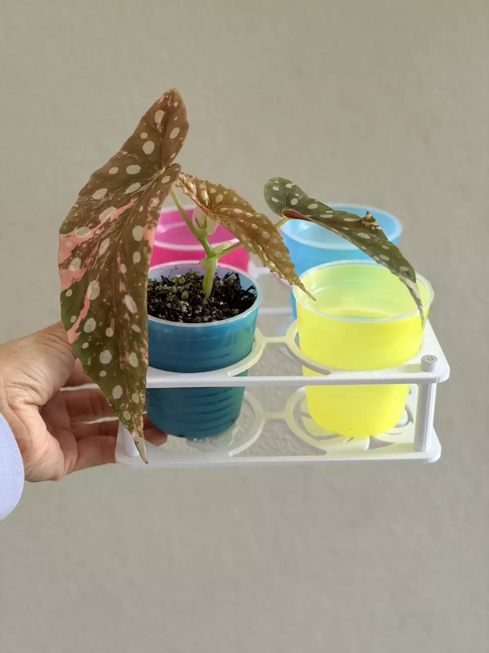 cup holder and 3” self watering pots set of  pots included thumbnail