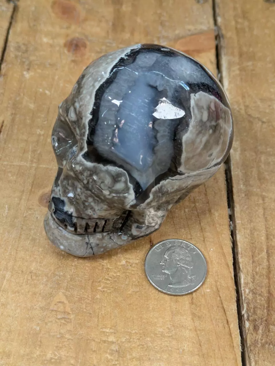 Volcano Agate Skull ~391 Grams (0.86 Pounds) thumbnail