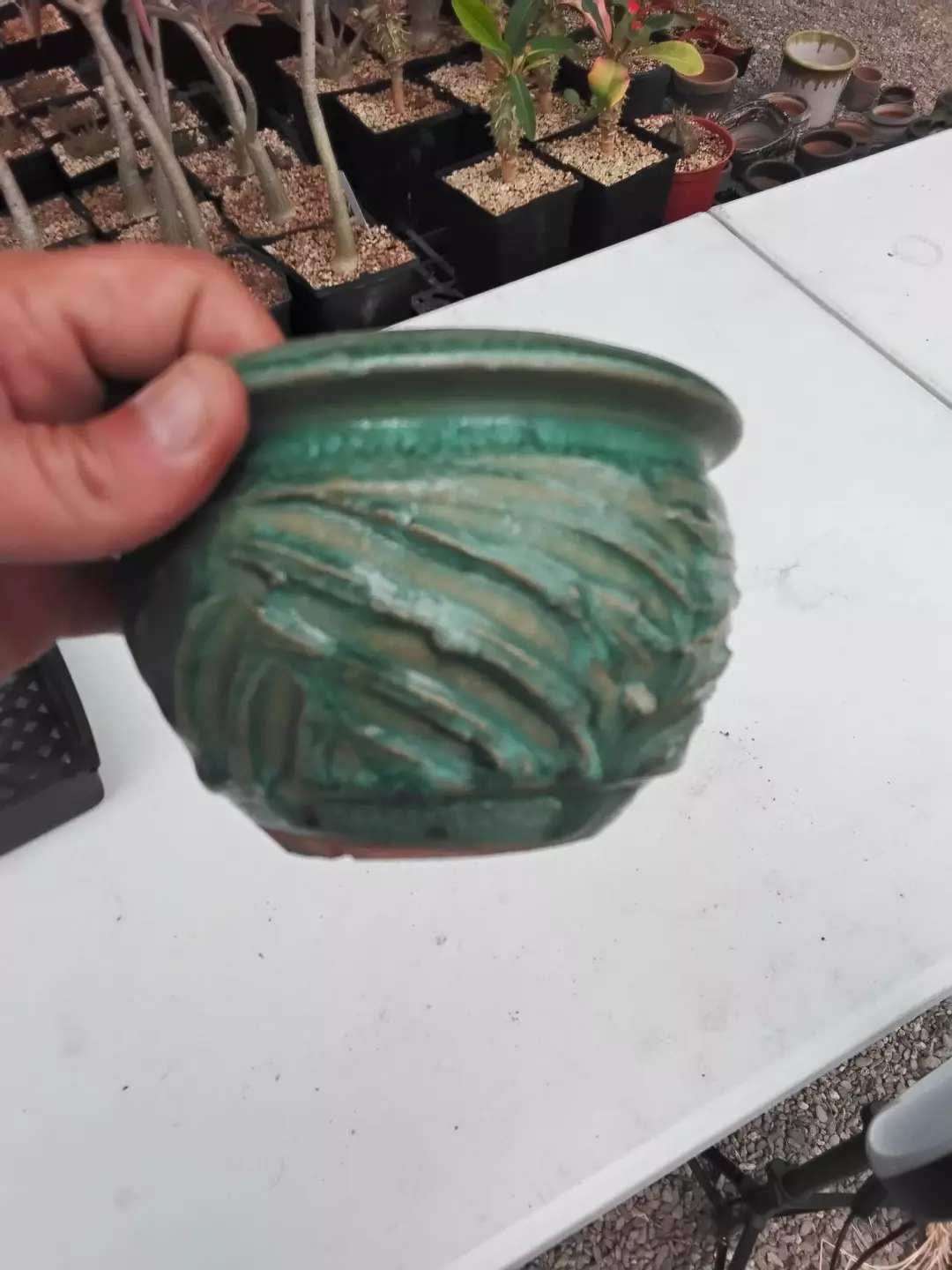 100. Thomsen Clayworks 5x4" thumbnail