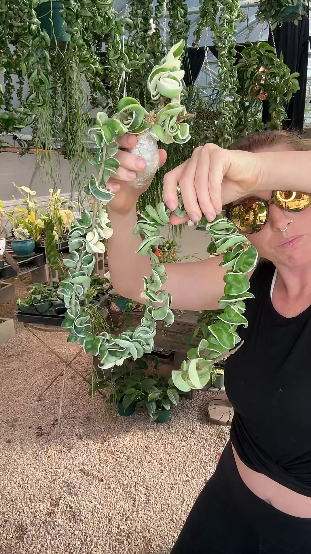 268: Variegated Hindu Rope - Fresh Import (Ships Tomorrow) thumbnail