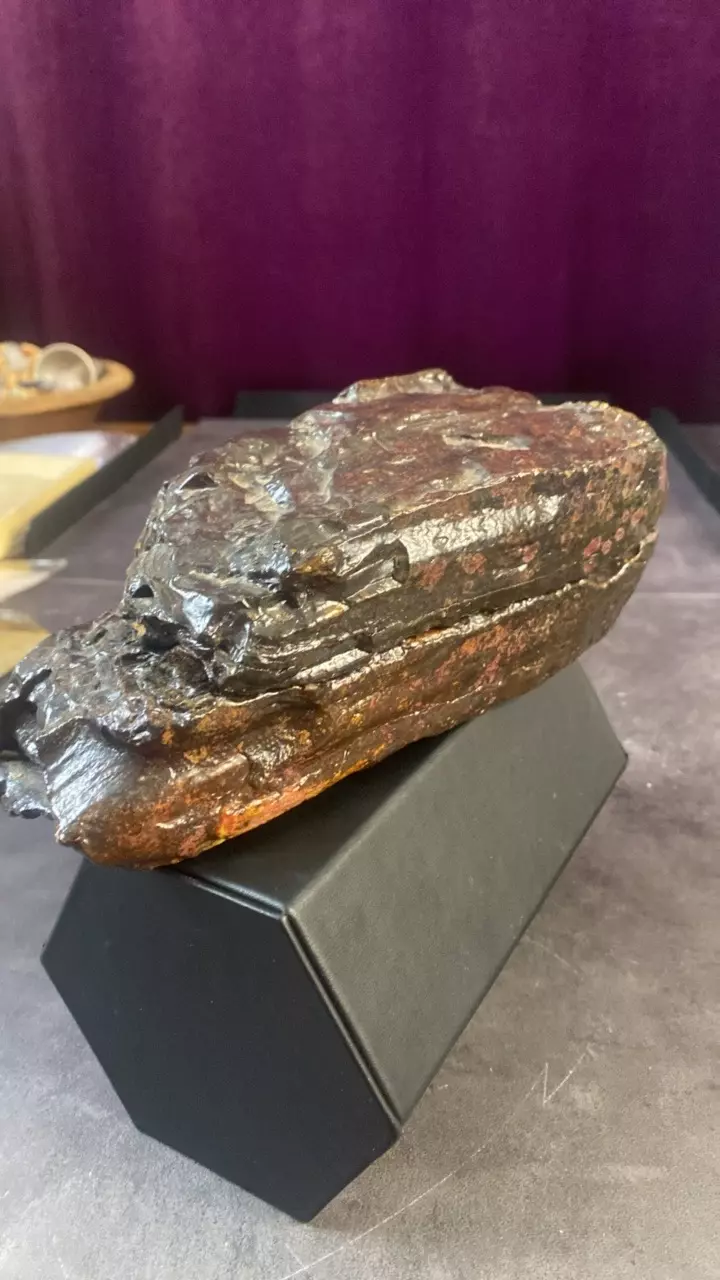 🧞‍♀️7.5” PINK Mammoth Tooth- 2 PC thumbnail