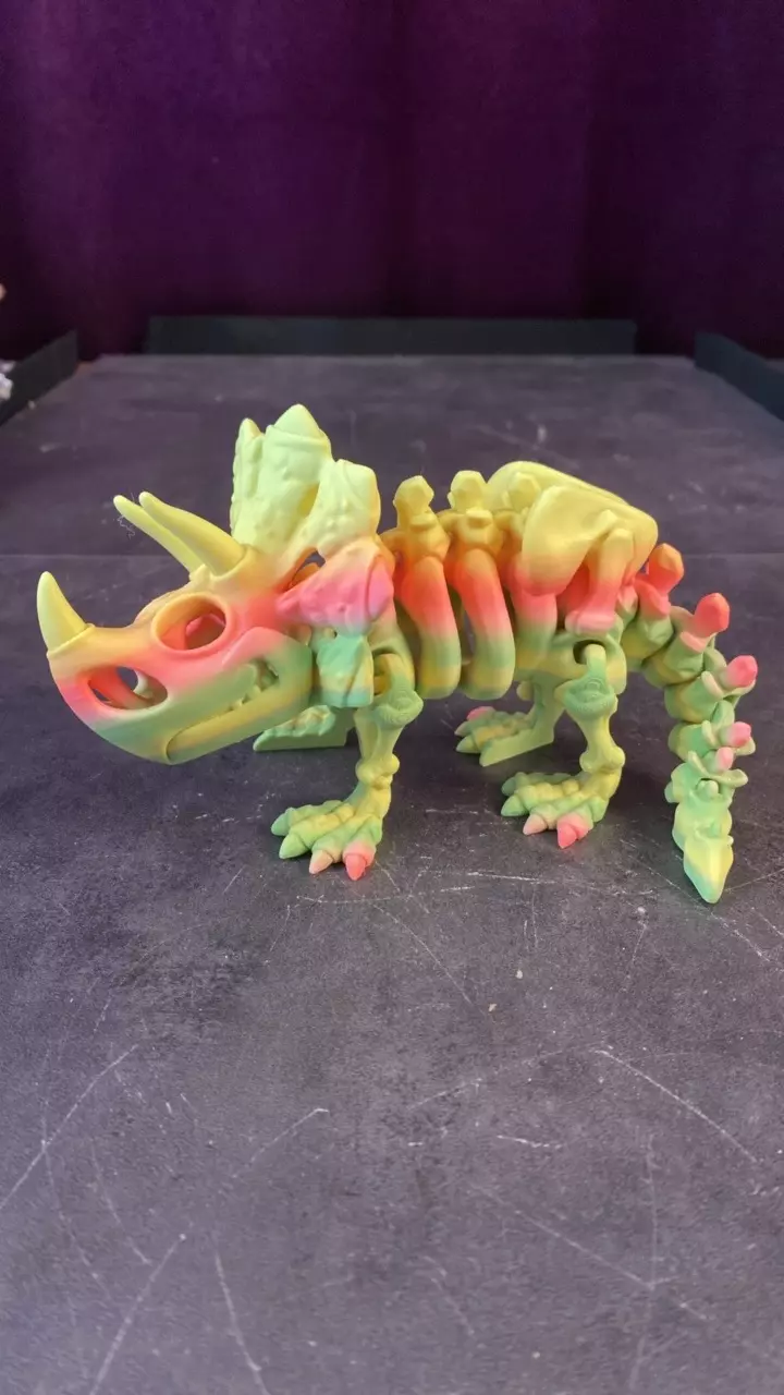 Margaritaville the Triceratops thumbnail