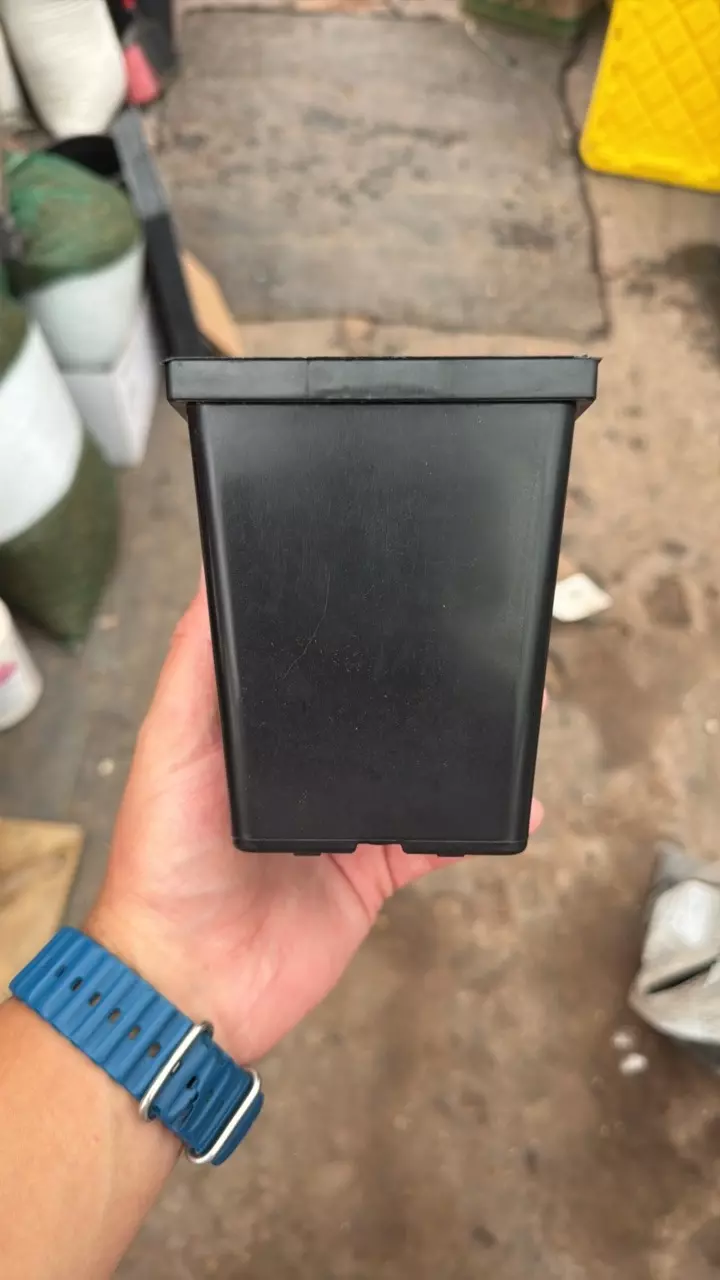 New Square 4.25” x 5” Pots (10 pcs) thumbnail