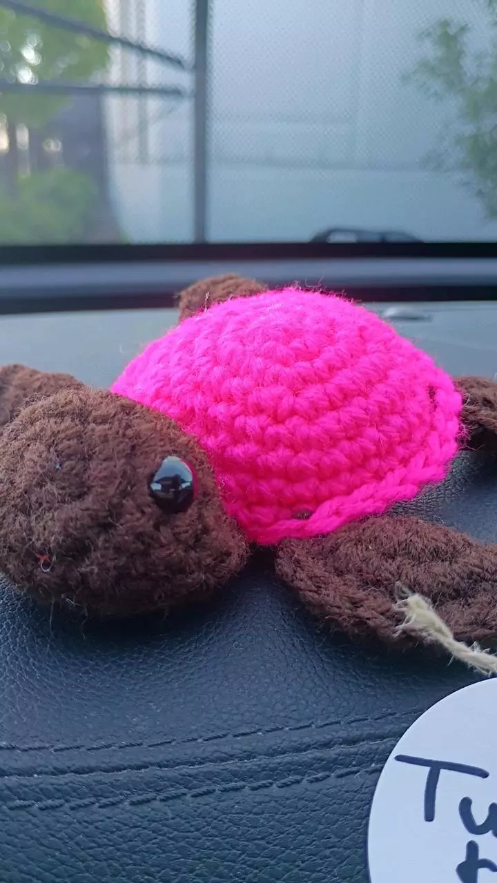 neon pink and brown turtle thumbnail