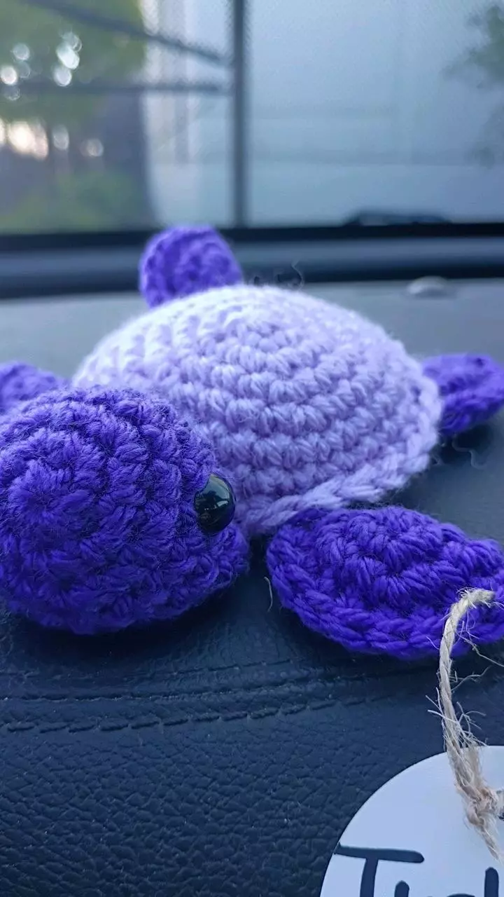 purple turtle thumbnail