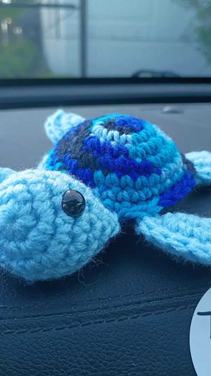 blue camo and light blue turtle thumbnail