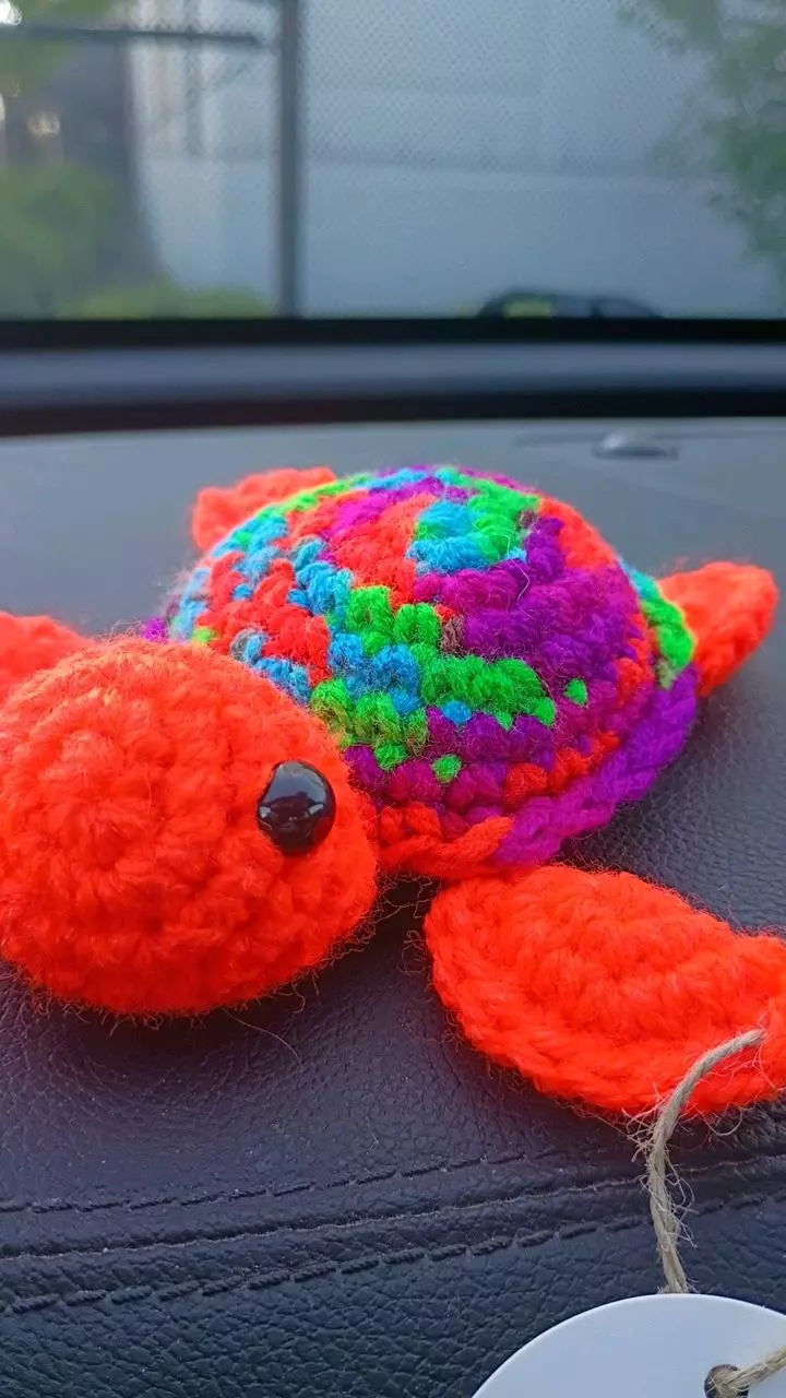 neon orange turtle thumbnail